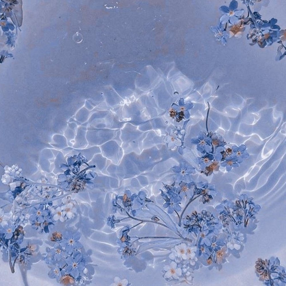 Meet your Posher, Juliana